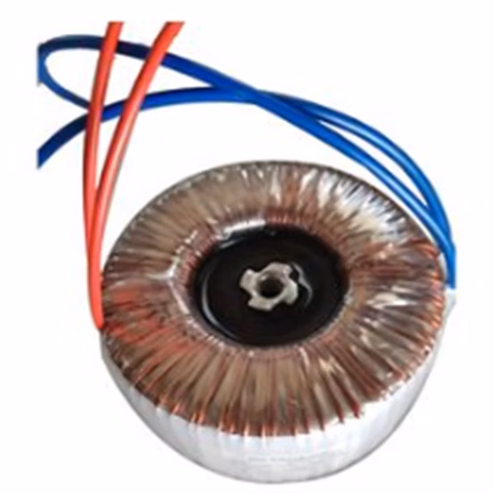 Customized Toroidal Transformer for Unique Applications and Needs 