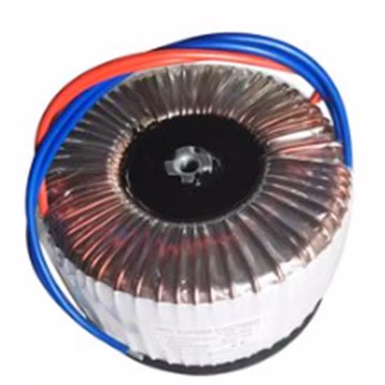 Premium Toroidal Transformer with Custom Model and Coil Number Support 