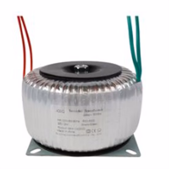 Customized Toroidal Transformer for Specialized Applications and Needs 