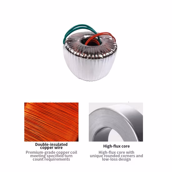 Customizable Toroidal Transformer with Tailored Model and Coil Numbers 