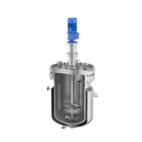Customized Leak Proof Hermetic Magnetic Reactor for Laboratory Study 