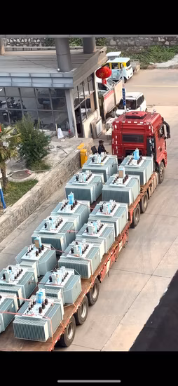 S14 Series 10kv Power Distribution Three